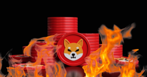 what-is-shiba-inu-burn-how-many-shiba-inu-burn-tokens-have-been-burned1