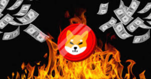 what-is-shiba-inu-burn-how-many-shiba-inu-burn-tokens-have-been-burned2